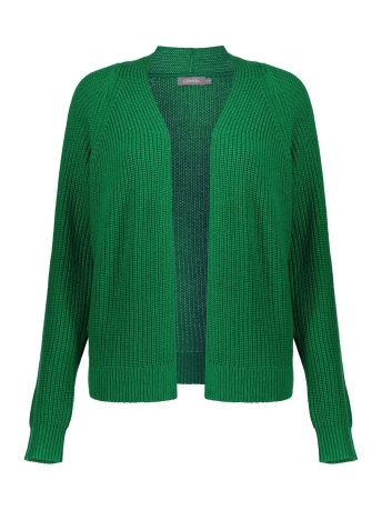 Geisha Vest GEBREID BASIC VEST 34512 10 BRIGHT GREEN