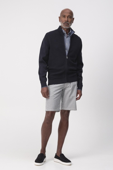 Campbell blauwe heren vest | Model