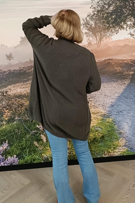 FOS Amsterdam taupe dames vest | Model achteraanzicht