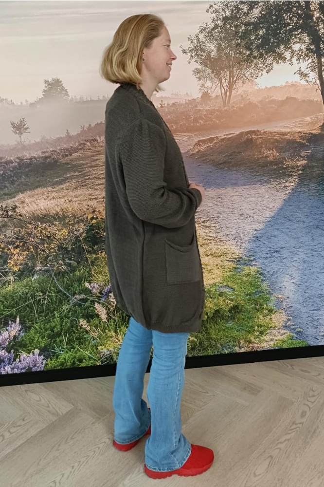 FOS Amsterdam taupe dames vest | Model