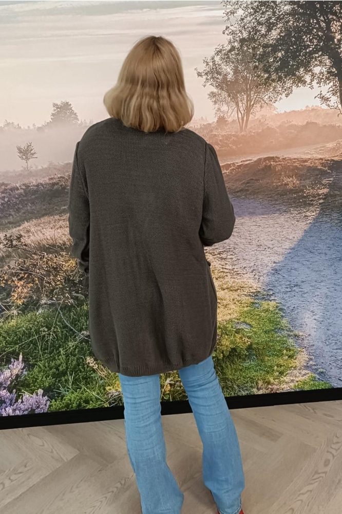 FOS Amsterdam taupe dames vest | Model