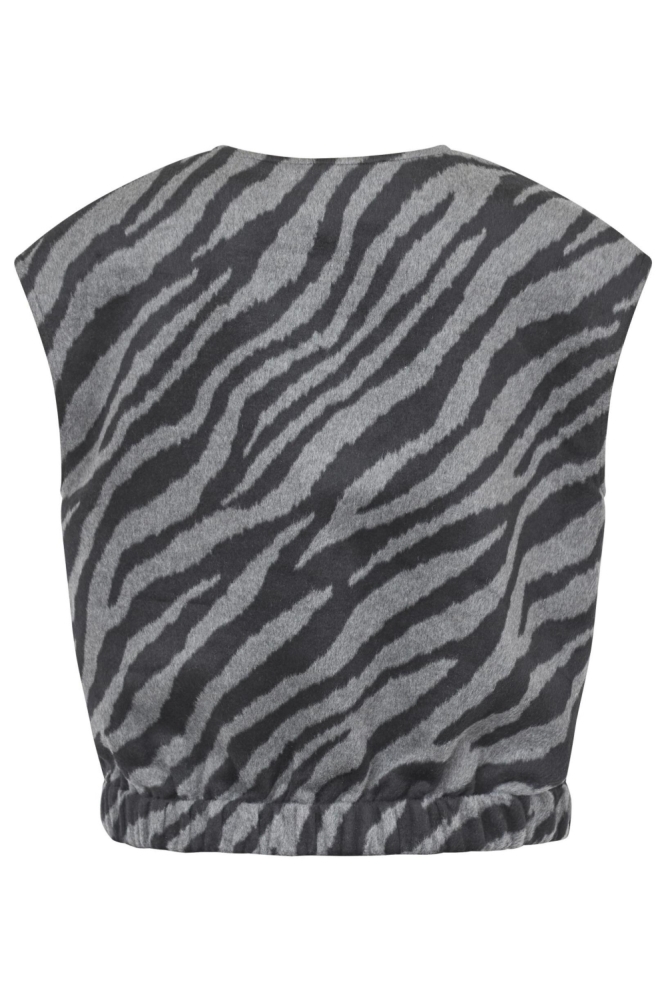 SisterS point grijze dames gilet | 