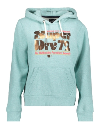 Superdry Trui 70S RETRO FONT GRAPHIC HOODIE W2011965A SAGE GREEN MARL