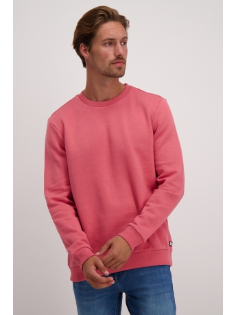 Cars Jeans sweaters Sans online