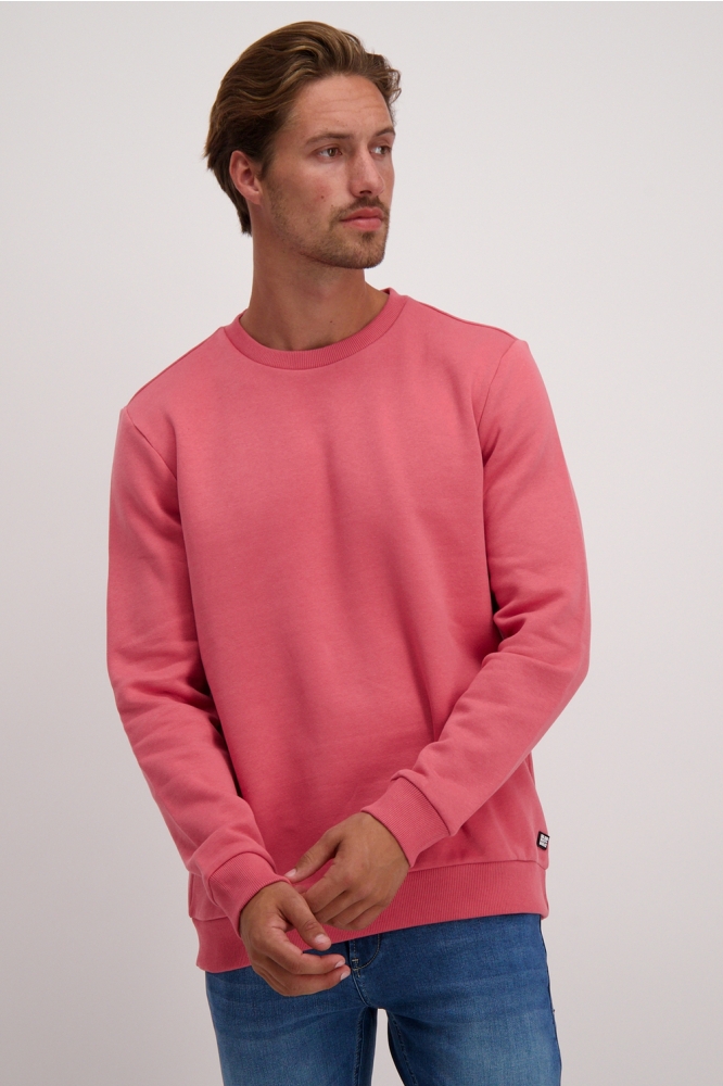 Cars roze heren sweater | Model vooraanzicht