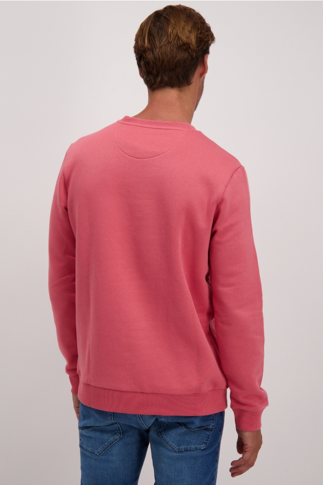 Cars roze heren sweater | Model achteraanzicht