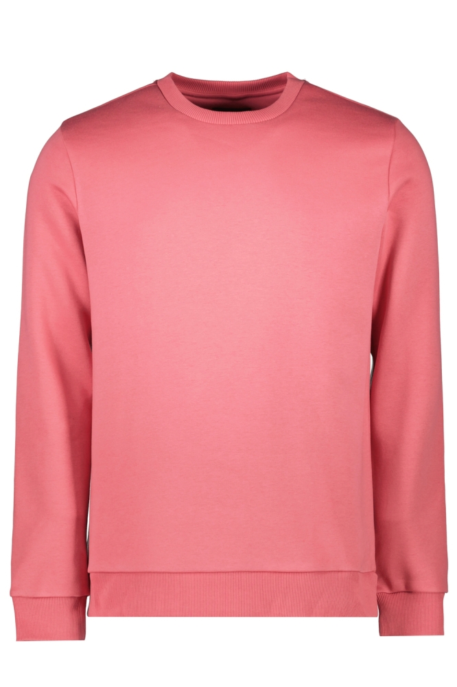 Cars roze heren sweater | Vooraanzicht