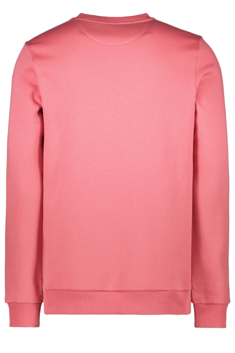 Cars roze heren sweater | Achteraanzicht