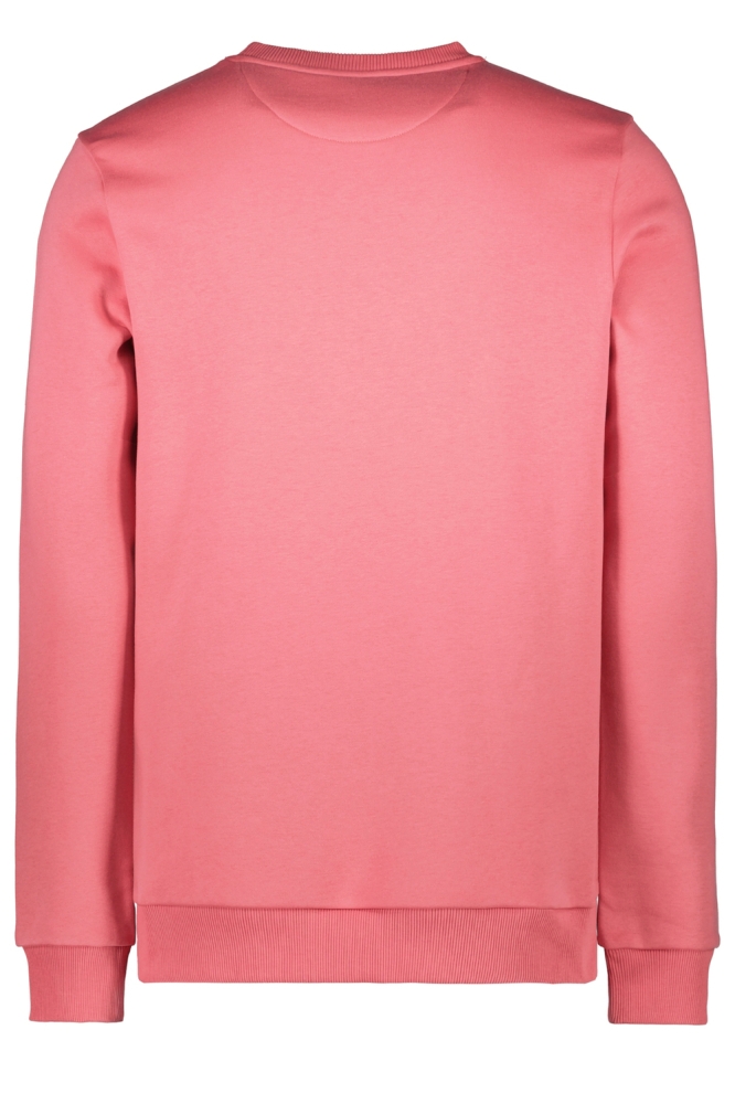 Cars roze heren sweater | Achteraanzicht