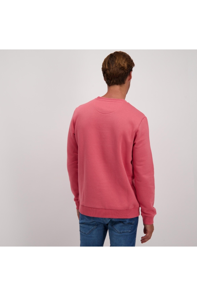 Cars roze heren sweater