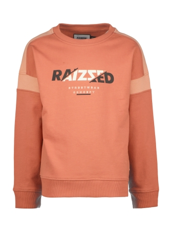 Raizzed Kids Trui JAMISON R223KBN34002 SWEATER FADED RUST