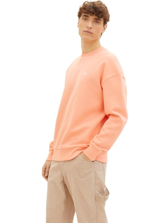 Tom Tailor Trui RELAXED CREWNECK SWEATER 1041243XX12 21237