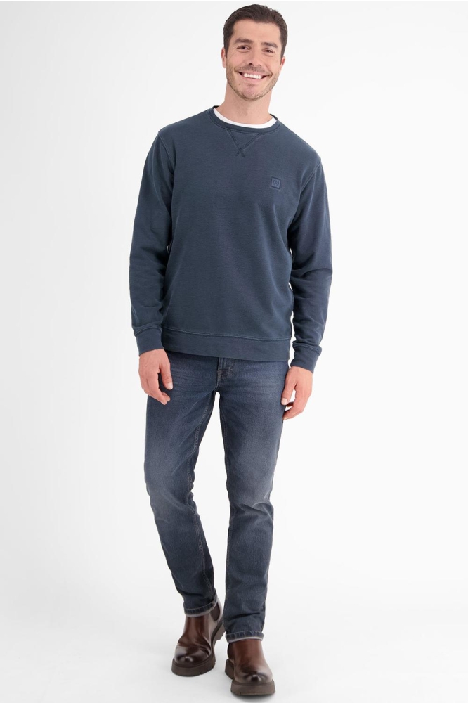 Lerros blauwe heren trui | Model