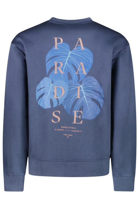 Cars blauwe heren sweater | Achteraanzicht