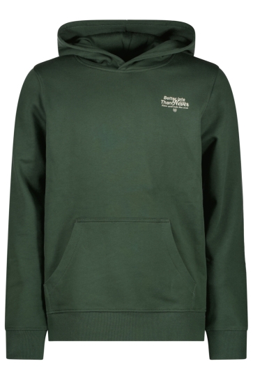 Cars Trui DUKEY SW HOOD 62565 BOTTLE 46