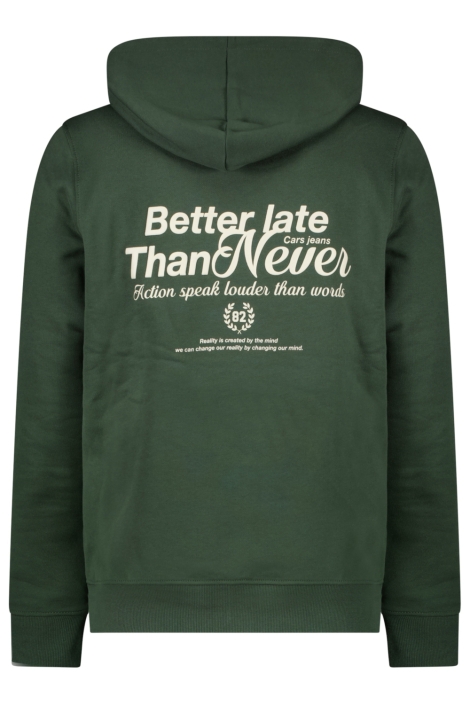 Cars groene heren sweater | Achteraanzicht