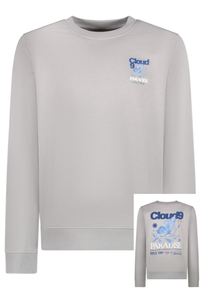 Cars grijze heren sweater | Vooraanzicht