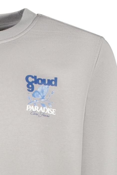 Cars grijze heren sweater | Close up