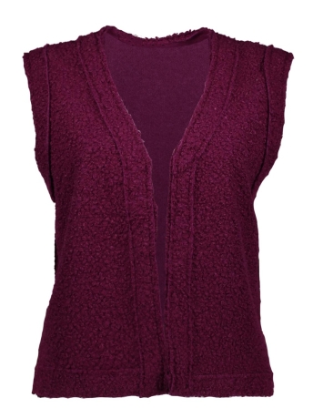 IZ NAIZ Vest GILET BOUCLE 3857 PURPLE