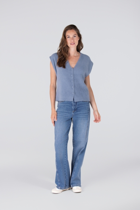 Juffrouw Jansen blauwe dames gilet | Model