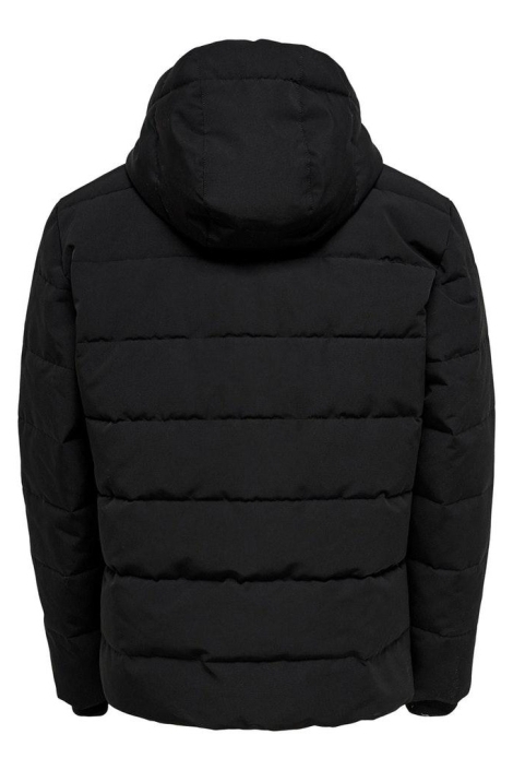 Only & Sons zwarte heren jas | Achteraanzicht