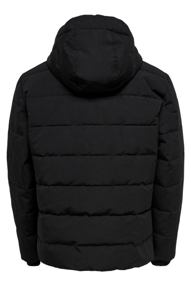 Only & Sons zwarte heren jas | Achteraanzicht