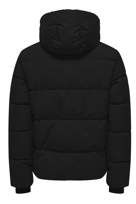 Only & Sons zwarte heren jas | Achteraanzicht