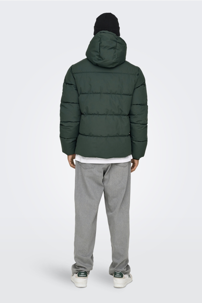Only & Sons groene heren jas | Model achteraanzicht