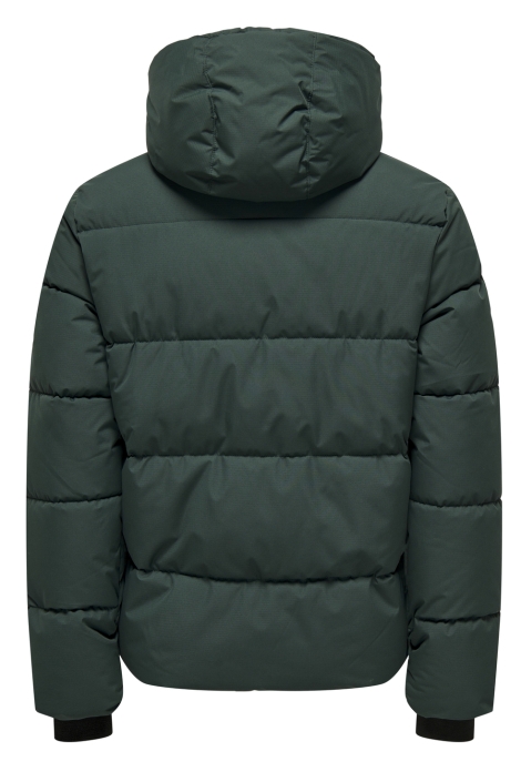 Only & Sons groene heren jas | Achteraanzicht