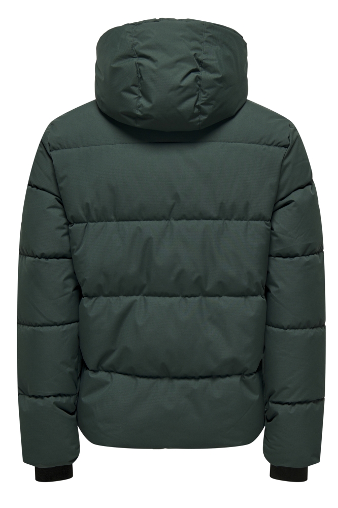 Only & Sons groene heren jas | Achteraanzicht