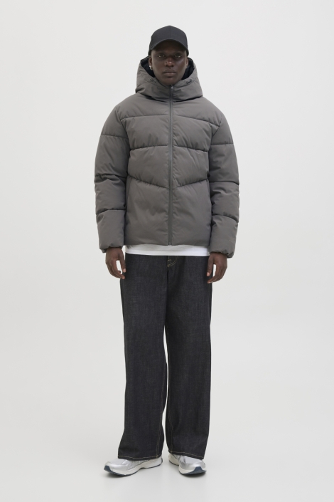 Jack & Jones grijze heren jas | Model