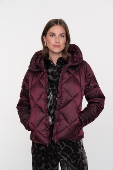 Geisha Jas PADDED KORTE JAS 58528 21 PORT