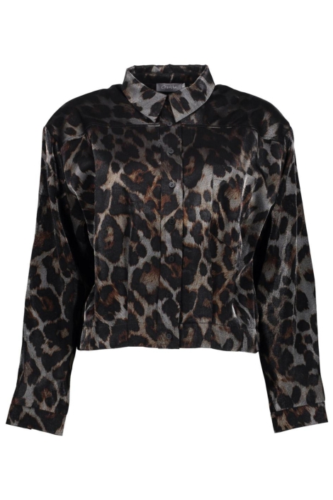 Geisha grijze dames blouse | Vooraanzicht