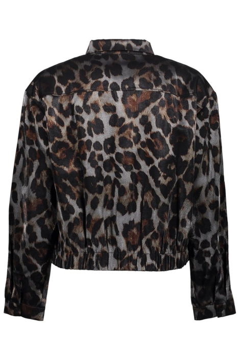 Geisha grijze dames blouse | Achteraanzicht
