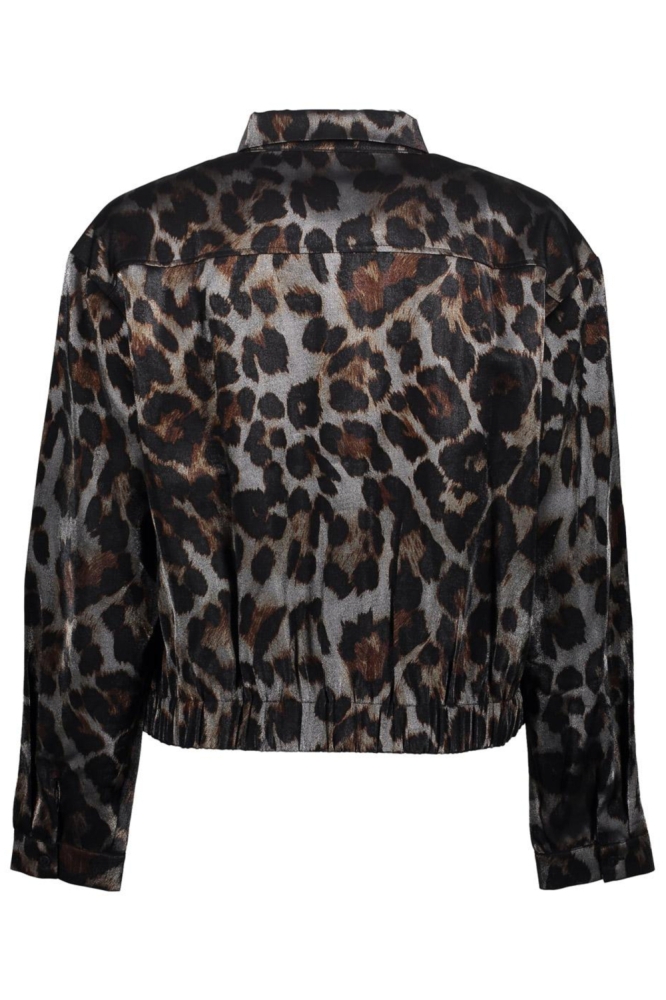 Geisha grijze dames blouse | Achteraanzicht