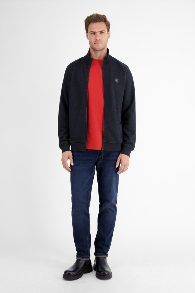 Lerros blauwe heren vest | Model