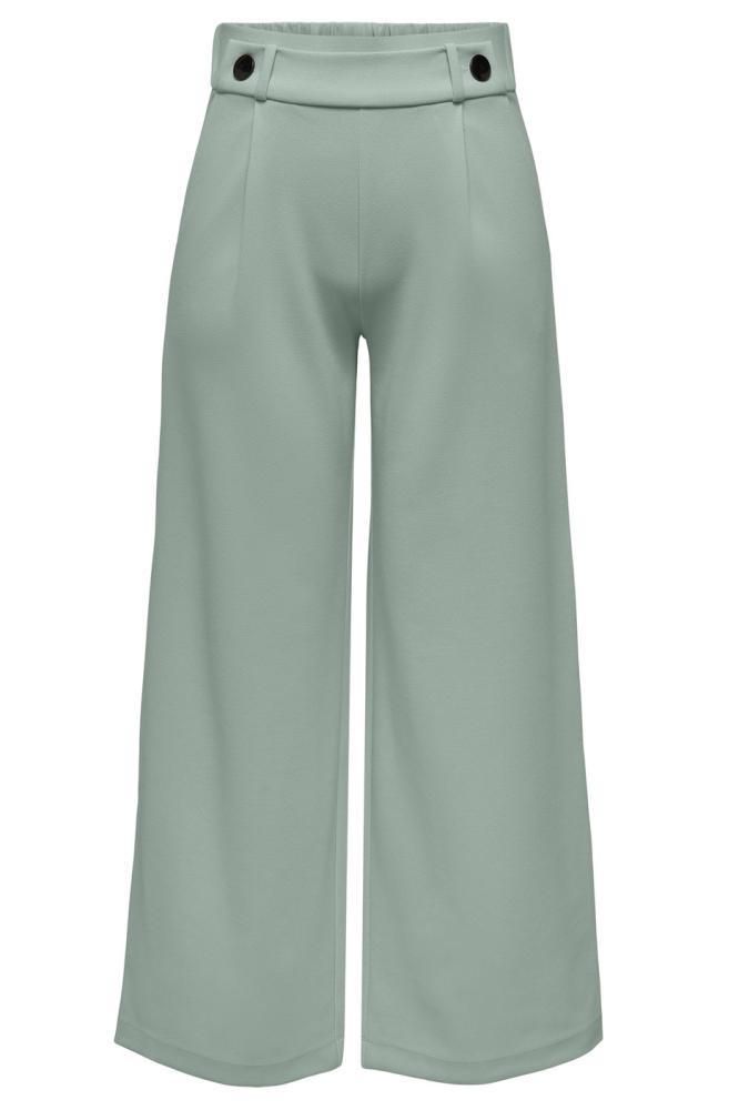 JDYGEGGO NEW LONG PANT JRS NOOS 15208430 CHINOIS GREEN