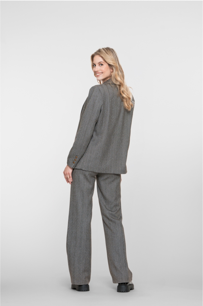 Geisha grijze dames broek | Model