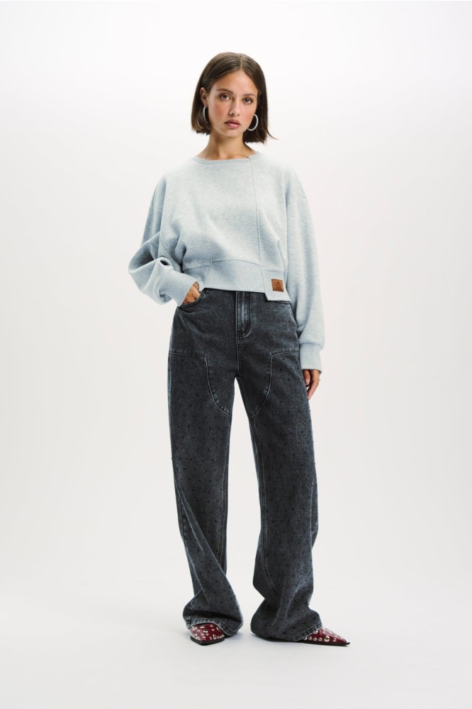 Refined Department grijze dames jeans | Model