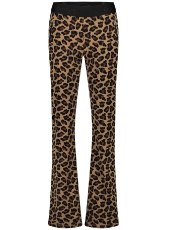 Lady Day Broek TELICE FLARED M12 492 1336 LEOPARD PRINT