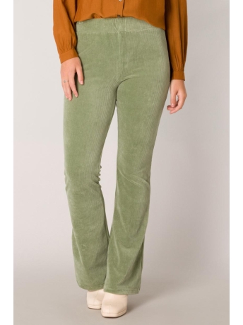 Ivy Beau Broek PEPPER 4001145 3041 JADE