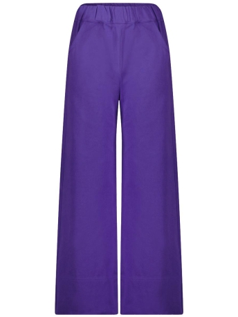 Circle of Trust Broek ROWAN PANTS OW23 21 2581 Crushed Velvet