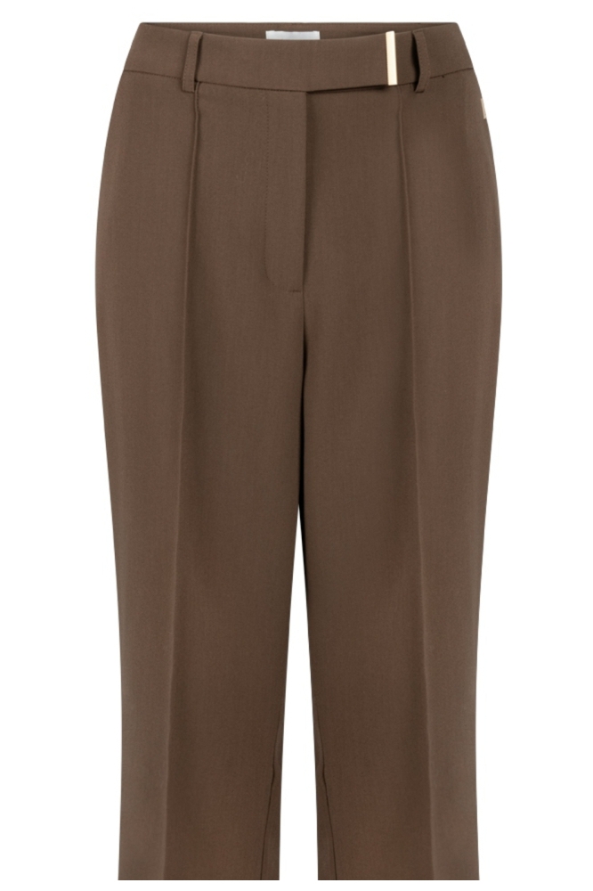 Aaiko bruine dames broek | Close up