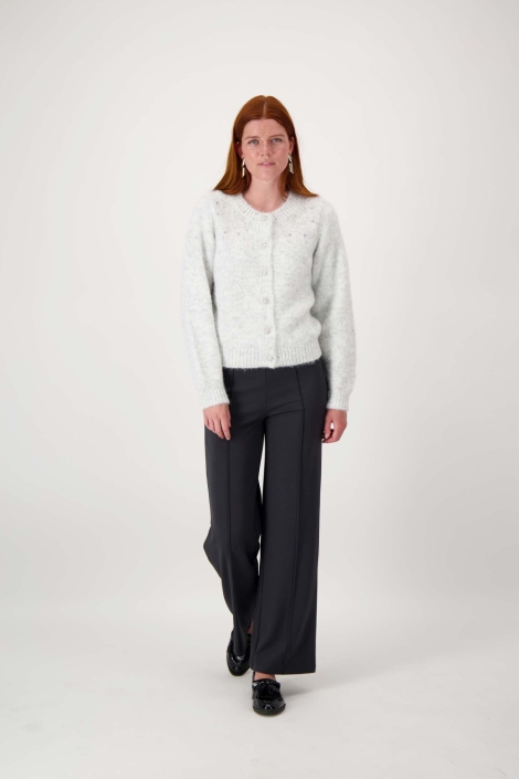 Zusss grijze dames broek | Model