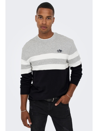 Only & Sons Trui ONSTHOR REG LOGO CB CREW 3626 SWT 22023626 DARK NAVY