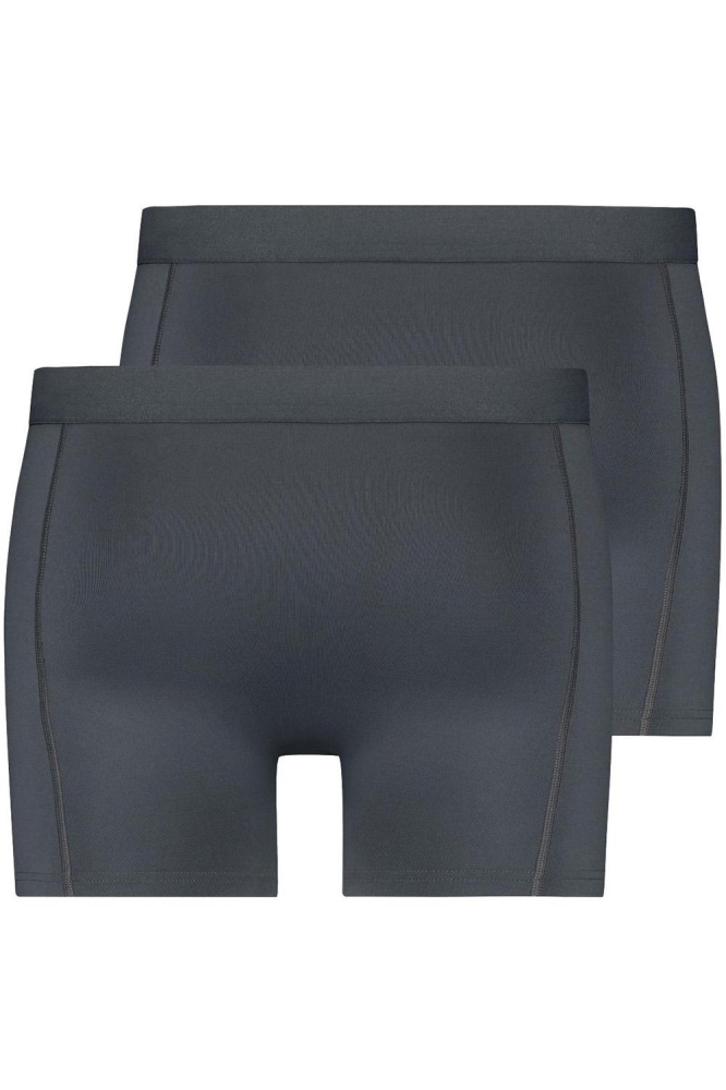 RJ Bodywear grijze heren ondergoed | Achteraanzicht