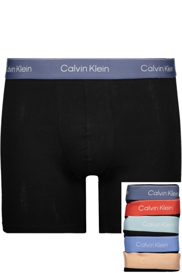 Calvin Klein Ondergoed BOXER BRIEF 5PK LV00NB4395 BVIN, MTN, ST BL, GLCR, M FR WBS