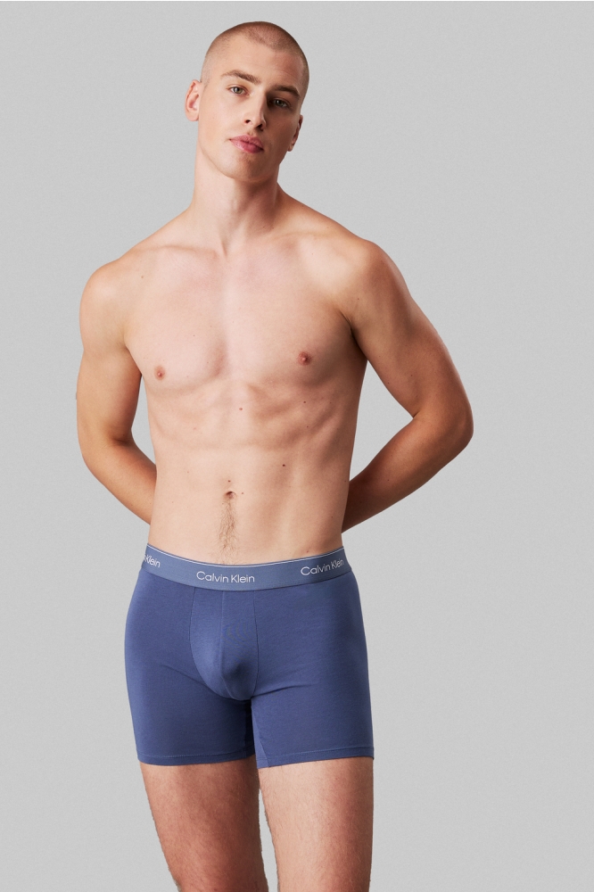 BOXER BRIEF 3PK LV00NB4394 VNTG INDG/MCR CHP/MLTN W/ DTM WB