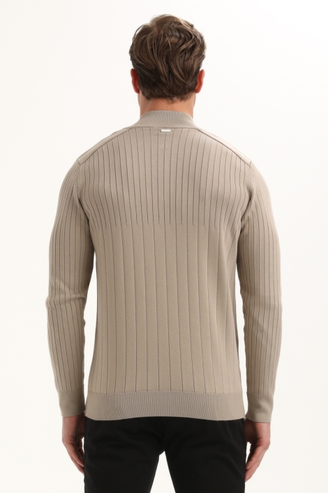 Gabbiano taupe heren trui | Model achteraanzicht