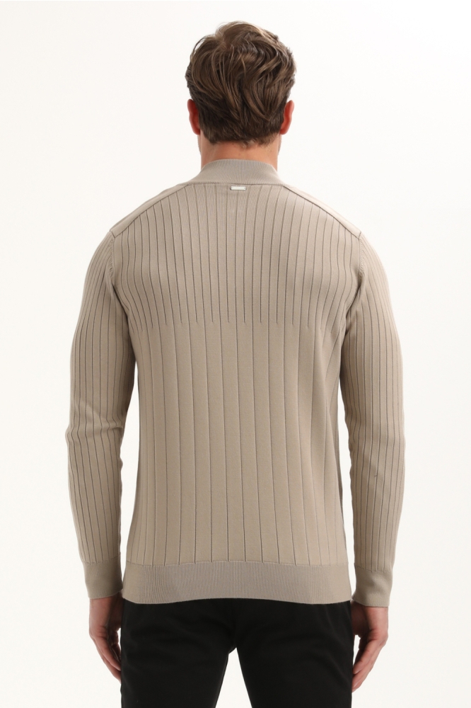 Gabbiano taupe heren trui | Model achteraanzicht